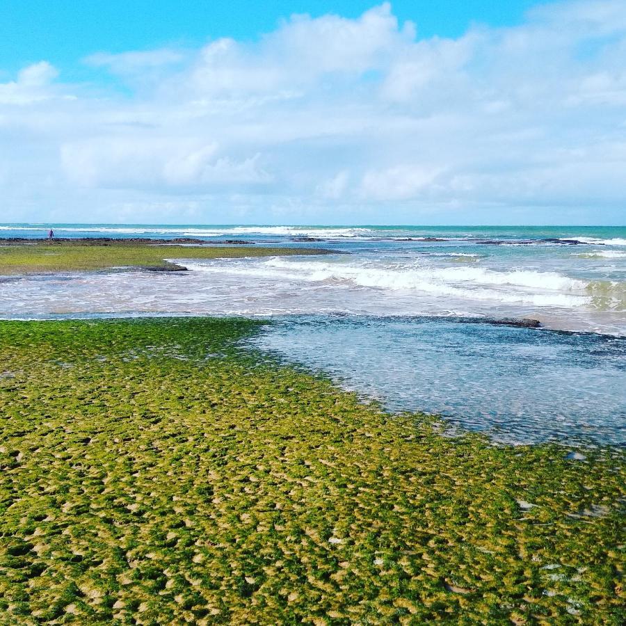 Pousada Ilha Do Meio Itacimirim Bagian luar foto