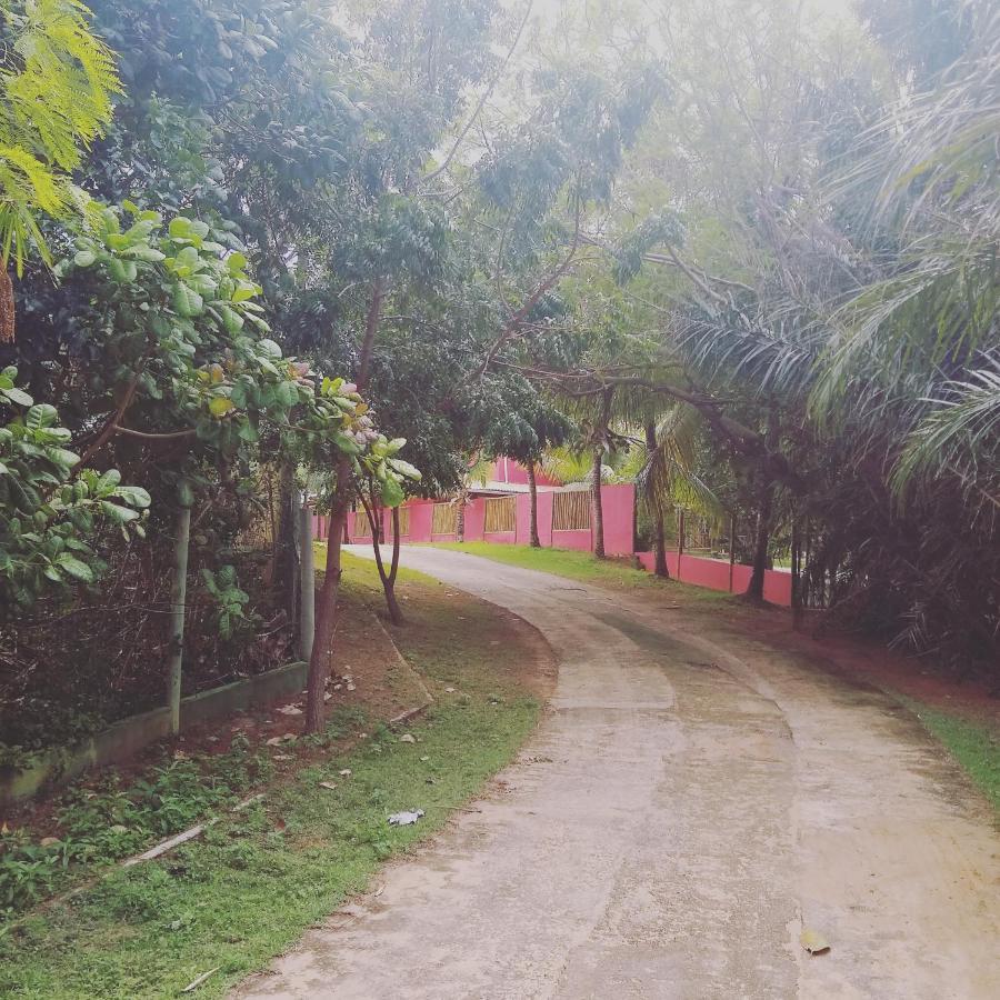 Pousada Ilha Do Meio Itacimirim Bagian luar foto